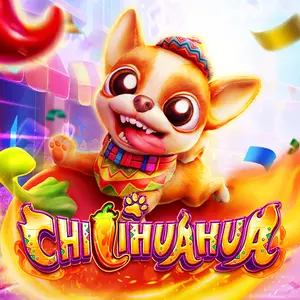 CHILIHUAHUA